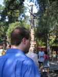 img_0520.jpg