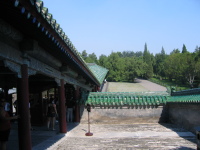 img_0567.jpg