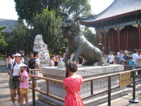 img_0575.jpg