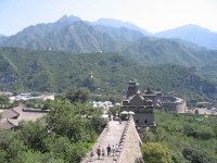 img_0594.jpg