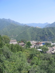 img_0595.jpg