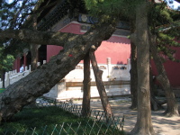 img_0625.jpg