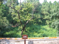 img_0651.jpg
