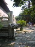 img_0657.jpg