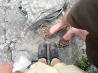 IMG_20120819_143318.jpg