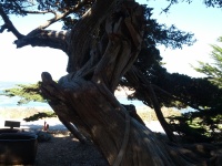 IMG_20120909_141918.jpg