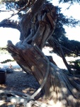 IMG_20120909_141930.jpg