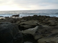IMG_20120902_184357.jpg