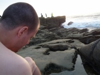 IMG_20120902_184404.jpg