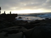 IMG_20120902_184513.jpg