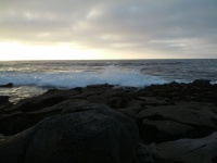 IMG_20120902_184519.jpg