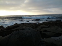 IMG_20120902_184528.jpg