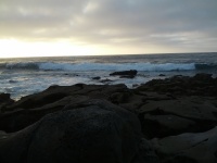IMG_20120902_184530.jpg