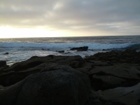 IMG_20120902_184531.jpg