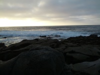 IMG_20120902_184534.jpg