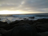 IMG_20120902_184544.jpg