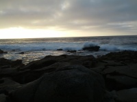 IMG_20120902_184549.jpg