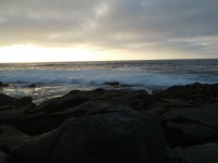IMG_20120902_184550.jpg