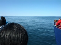 IMG_20120519_154022.jpg