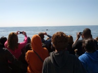 IMG_20120519_154156.jpg