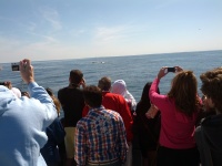 IMG_20120519_154310.jpg