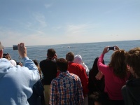 IMG_20120519_154311.jpg