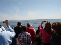 IMG_20120519_154313.jpg