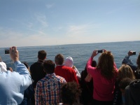 IMG_20120519_154316.jpg