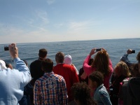 IMG_20120519_154318.jpg