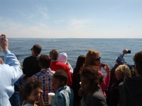 IMG_20120519_154322.jpg
