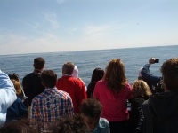 IMG_20120519_154324.jpg