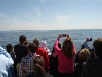 IMG_20120519_154329.jpg