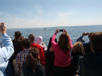 IMG_20120519_154332.jpg