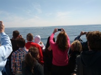 IMG_20120519_154332_1.jpg
