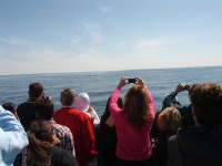 IMG_20120519_154334.jpg