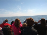 IMG_20120519_154339.jpg