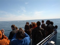 IMG_20120519_154359.jpg