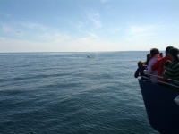 IMG_20120519_154423.jpg