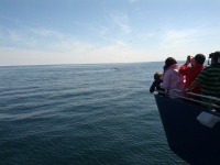 IMG_20120519_154425.jpg
