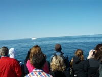 IMG_20120519_154616.jpg