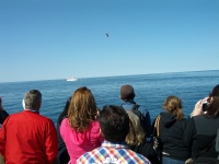 IMG_20120519_154618.jpg