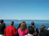 IMG_20120519_154619.jpg
