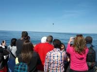 IMG_20120519_154719.jpg