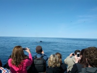 IMG_20120519_154756.jpg