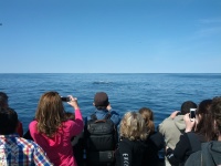 IMG_20120519_154759.jpg