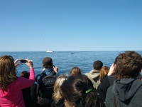 IMG_20120519_154926.jpg