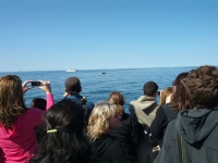 IMG_20120519_154928.jpg