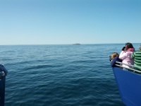 IMG_20120519_155059.jpg