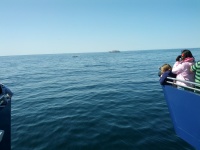 IMG_20120519_155101.jpg