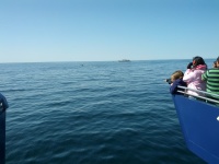IMG_20120519_155102.jpg